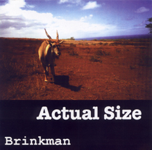 Actual Size - Brinkman
